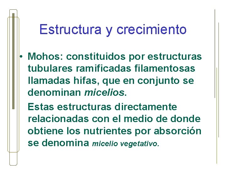 Estructura y crecimiento • Mohos: constituidos por estructuras tubulares ramificadas filamentosas llamadas hifas, que