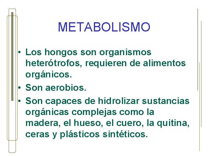 METABOLISMO • Los hongos son organismos heterótrofos, requieren de alimentos orgánicos. • Son aerobios.
