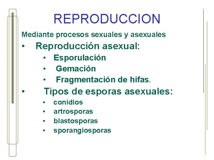 REPRODUCCION Mediante procesos sexuales y asexuales • Reproducción asexual: • Esporulación • Gemación •