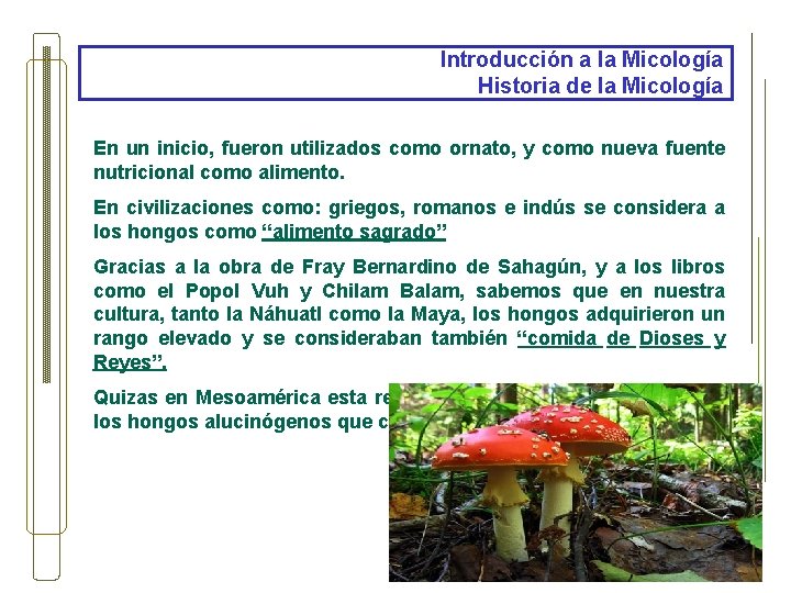 Introducción a la Micología Historia de la Micología En un inicio, fueron utilizados como