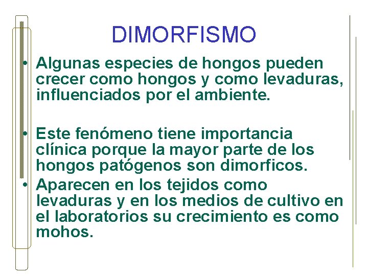 DIMORFISMO • Algunas especies de hongos pueden crecer como hongos y como levaduras, influenciados