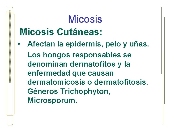 Micosis Cutáneas: • Afectan la epidermis, pelo y uñas. Los hongos responsables se denominan