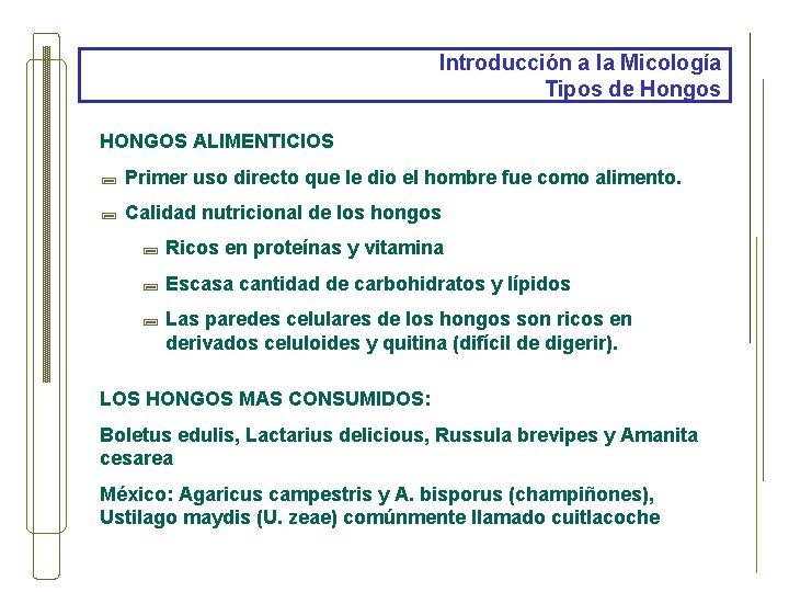 Introducción a la Micología Tipos de Hongos HONGOS ALIMENTICIOS ; Primer uso directo que