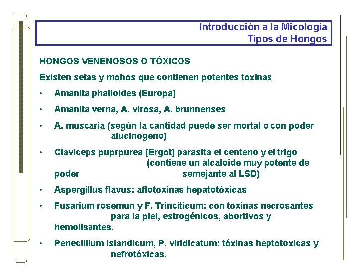 Introducción a la Micología Tipos de Hongos HONGOS VENENOSOS O TÓXICOS Existen setas y