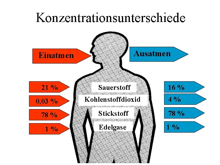 Konzentrationsunterschiede Ausatmen Einatmen 21 % Sauerstoff 16 % Kohlenstoffdioxid 4% 78 % Stickstoff 78