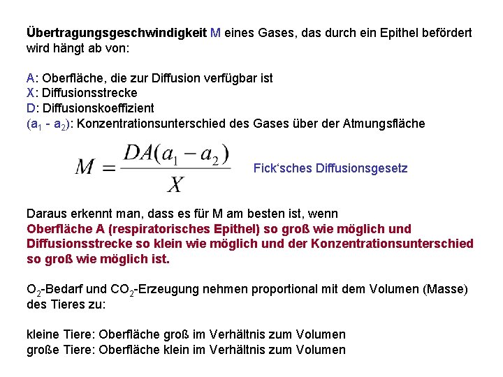 Übertragungsgeschwindigkeit M eines Gases, das durch ein Epithel befördert wird hängt ab von: A: