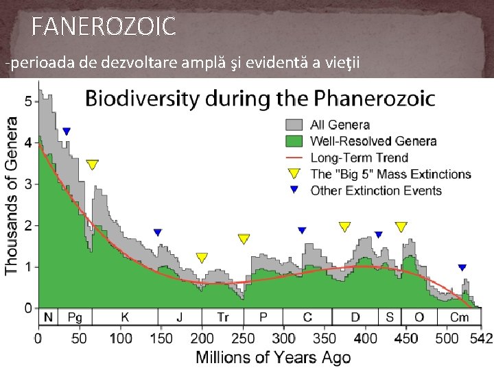 FANEROZOIC -perioada de dezvoltare amplă şi evidentă a vieţii 