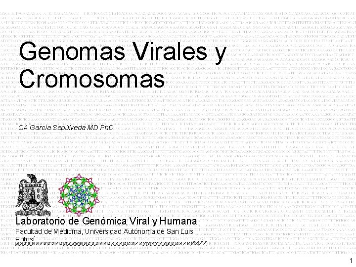 Genomas Virales y Cromosomas CA García Sepúlveda MD Ph. D Laboratorio de Genómica Viral