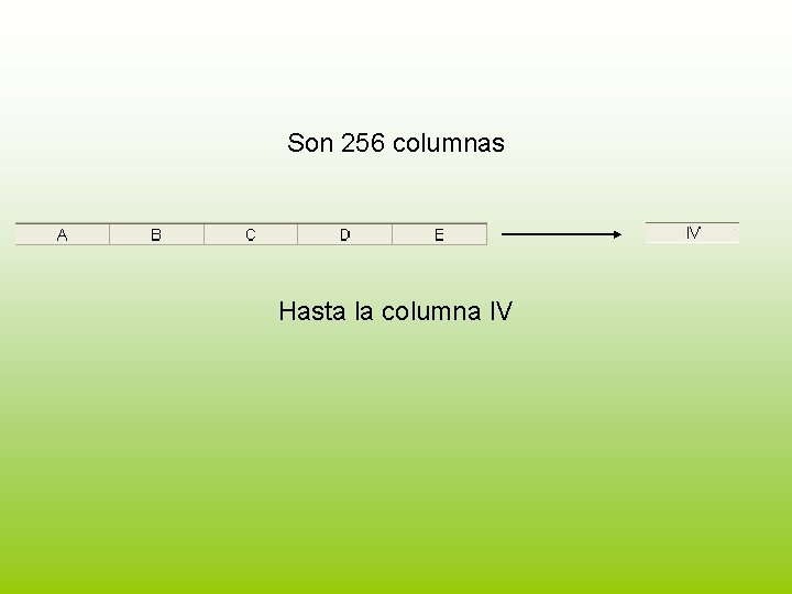 Son 256 columnas Hasta la columna IV 