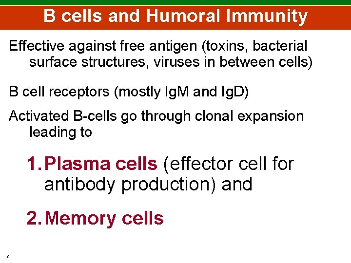 B cells and Humoral Immunity Effective against free antigen (toxins, bacterial surface structures, viruses