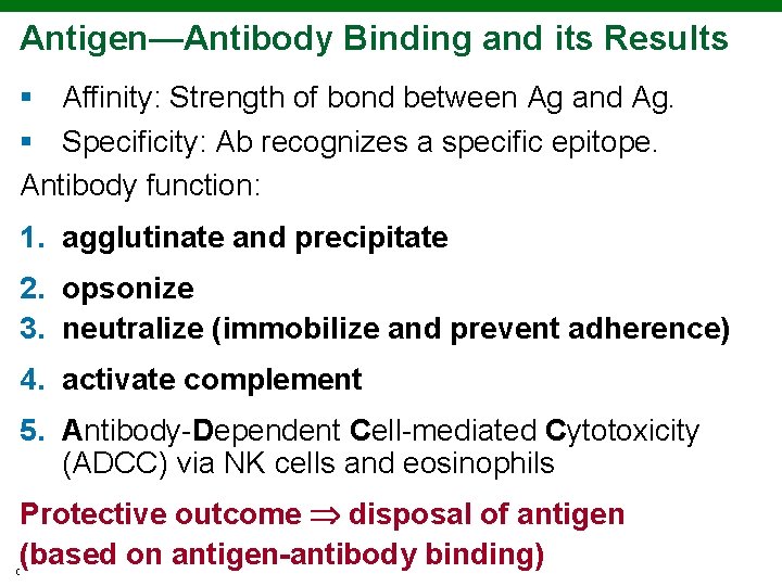 Antigen—Antibody Binding and its Results § Affinity: Strength of bond between Ag and Ag.