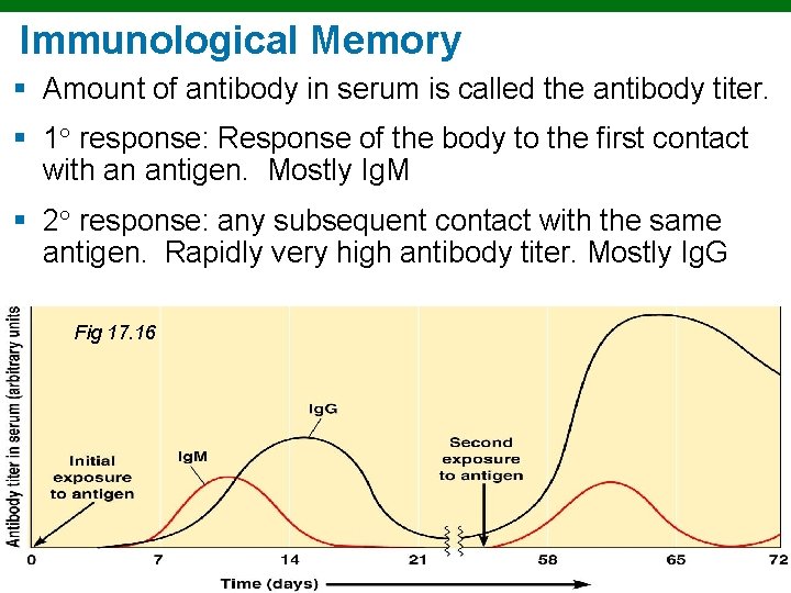Immunological Memory § Amount of antibody in serum is called the antibody titer. §