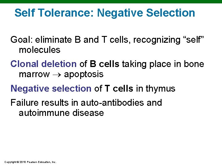 Self Tolerance: Negative Selection Goal: eliminate B and T cells, recognizing “self” molecules Clonal