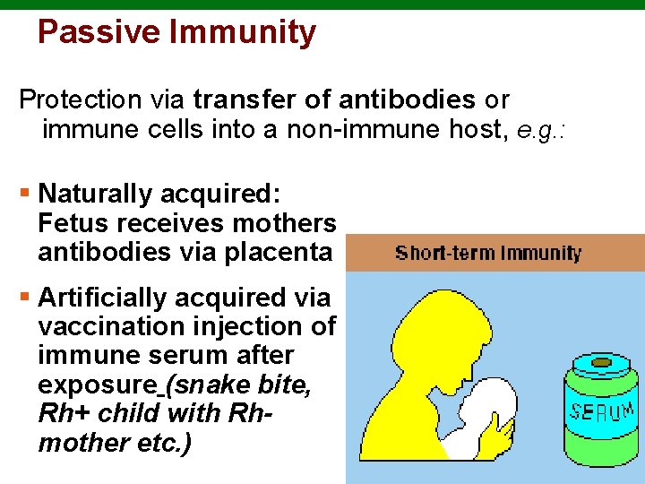 Passive Immunity Protection via transfer of antibodies or immune cells into a non-immune host,
