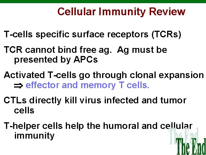 Cellular Immunity Review T-cells specific surface receptors (TCRs) TCR cannot bind free ag. Ag