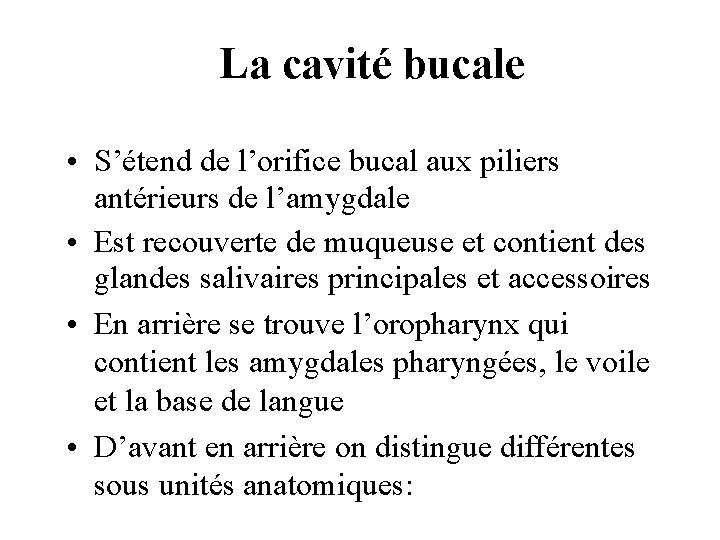 La cavité bucale • S’étend de l’orifice bucal aux piliers antérieurs de l’amygdale • La cavité bucale • S’étend de l’orifice bucal aux piliers antérieurs de l’amygdale •