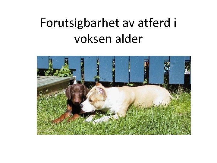 Forutsigbarhet av atferd i voksen alder 