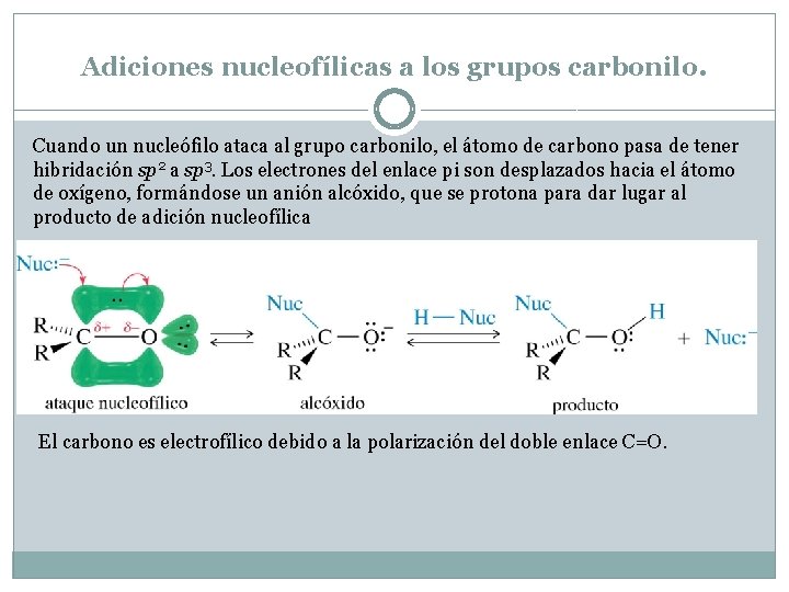 Adiciones nucleofílicas a los grupos carbonilo. Cuando un nucleófilo ataca al grupo carbonilo, el