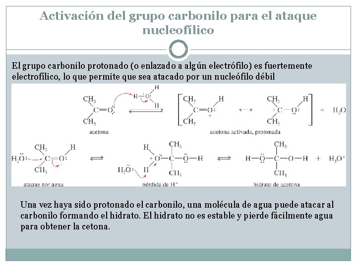 Activación del grupo carbonilo para el ataque nucleofílico El grupo carbonilo protonado (o enlazado