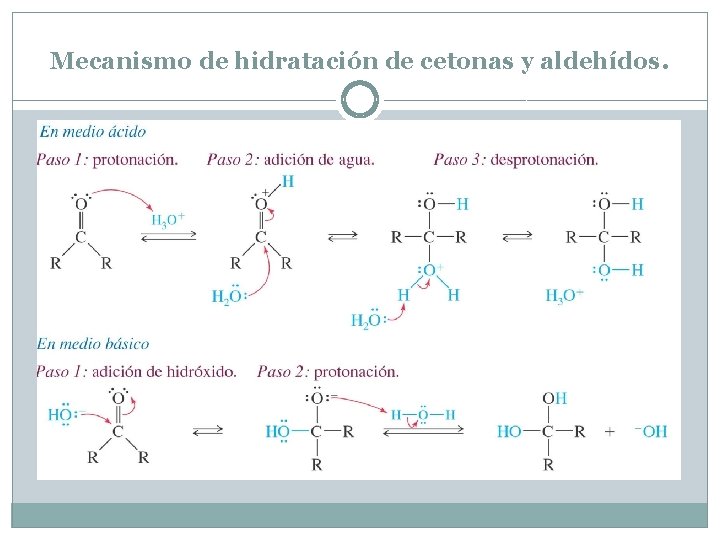 Mecanismo de hidratación de cetonas y aldehídos. 