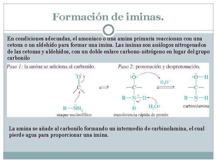 Formación de iminas. En condiciones adecuadas, el amoniaco o una amina primaria reaccionan con