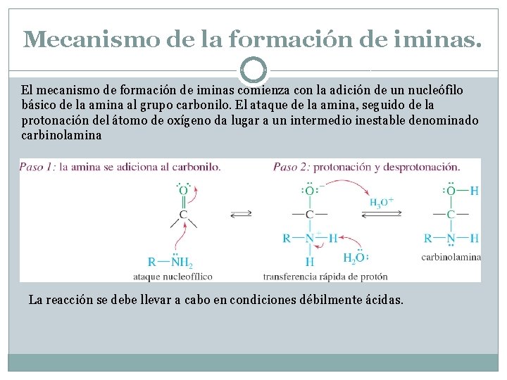 Mecanismo de la formación de iminas. El mecanismo de formación de iminas comienza con