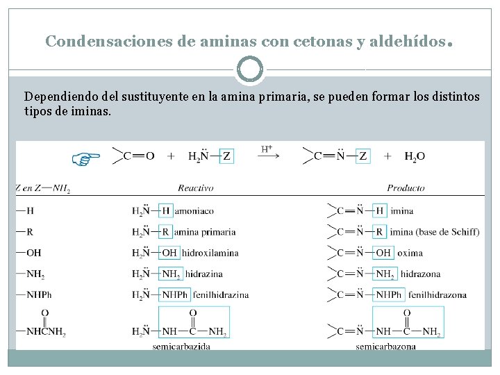 Condensaciones de aminas con cetonas y aldehídos. Dependiendo del sustituyente en la amina primaria,