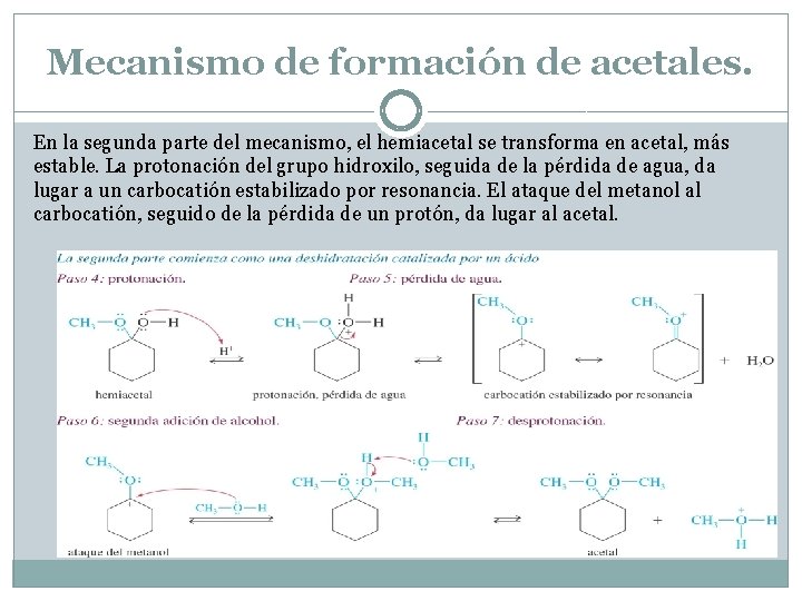 Mecanismo de formación de acetales. En la segunda parte del mecanismo, el hemiacetal se