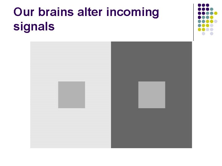 Our brains alter incoming signals 