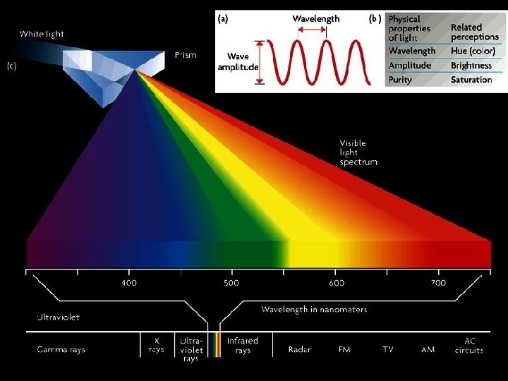 Light is Color 