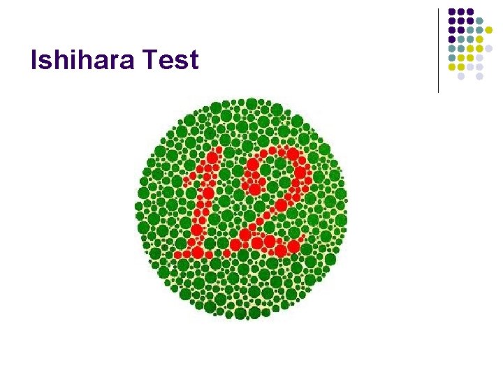 Ishihara Test 