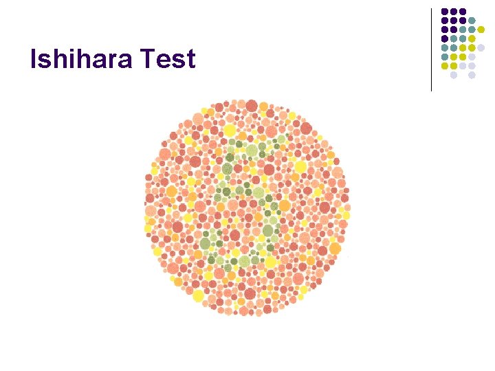 Ishihara Test 
