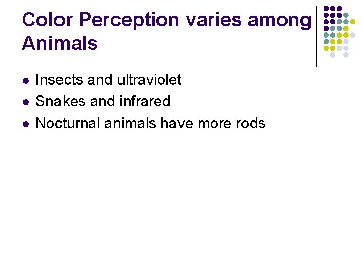 Color Perception varies among Animals l l l Insects and ultraviolet Snakes and infrared