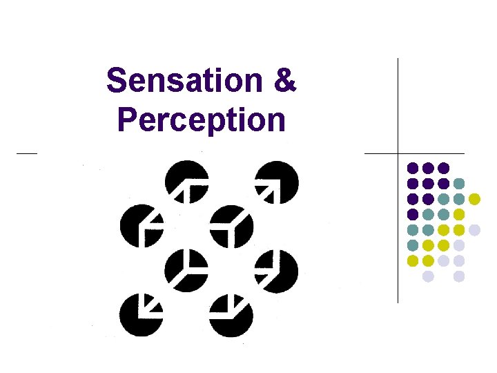 Sensation & Perception 