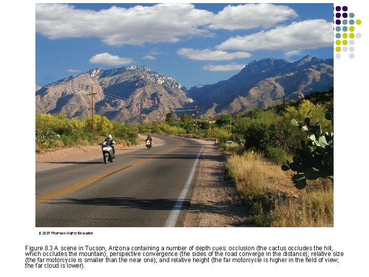 Figure 8. 3 A scene in Tucson, Arizona containing a number of depth cues: