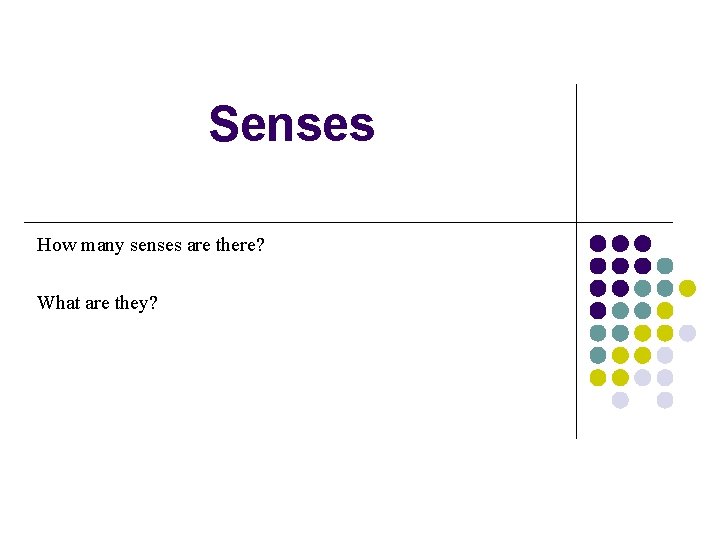 Senses How many senses are there? What are they? 