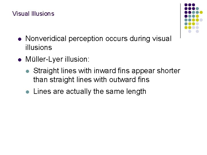 Visual Illusions l Nonveridical perception occurs during visual illusions l Müller-Lyer illusion: l Straight