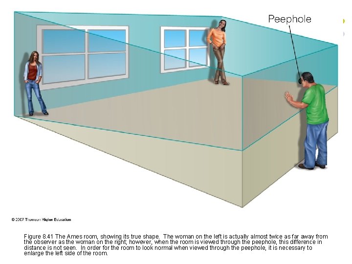 Figure 8. 41 The Ames room, showing its true shape. The woman on the