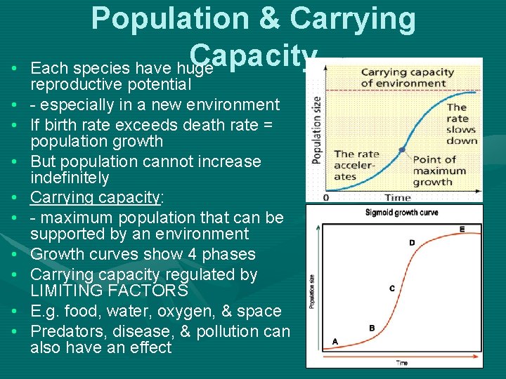  • • • Population & Carrying Capacity Each species have huge reproductive potential