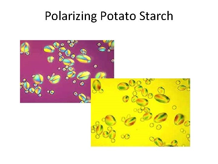 Polarizing Potato Starch 