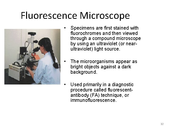 Fluorescence Microscope • Specimens are first stained with fluorochromes and then viewed through a