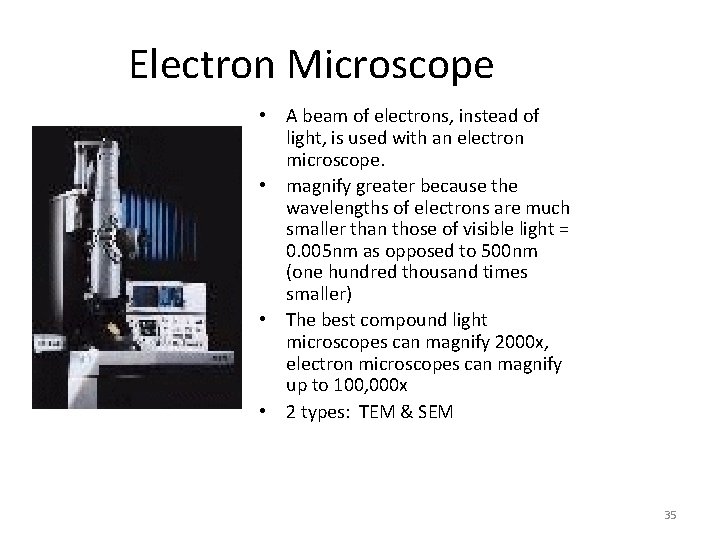 Electron Microscope • A beam of electrons, instead of light, is used with an