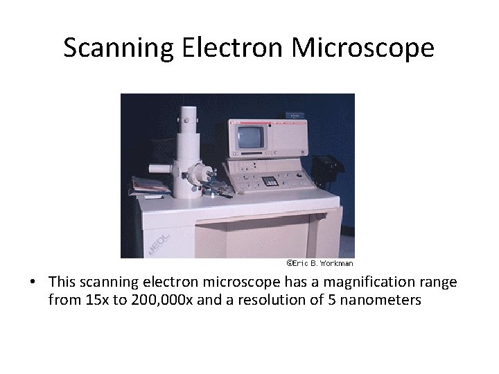 Scanning Electron Microscope • This scanning electron microscope has a magnification range from 15