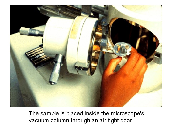 The sample is placed inside the microscope's vacuum column through an air-tight door 