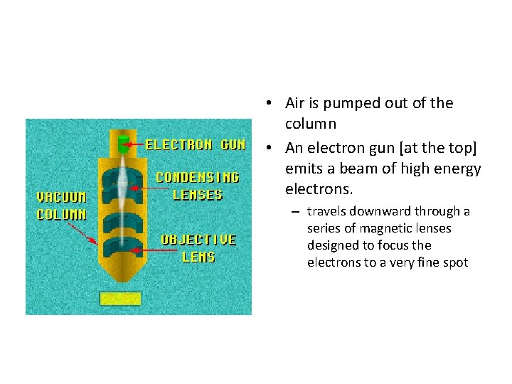  • Air is pumped out of the column • An electron gun [at