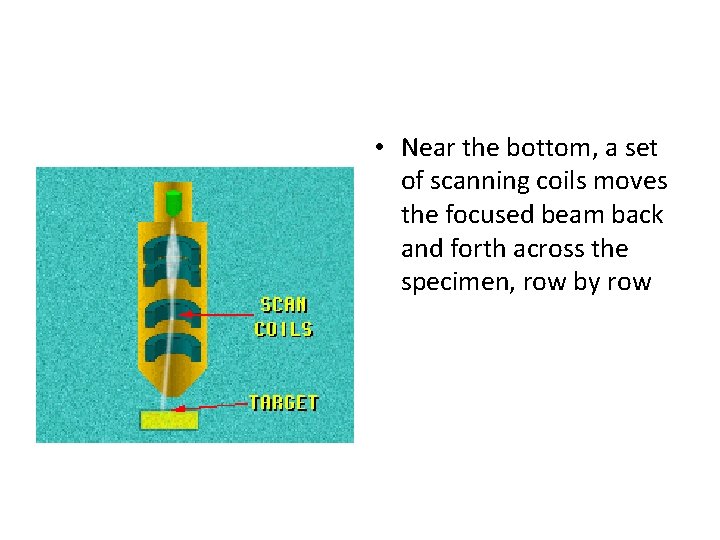  • Near the bottom, a set of scanning coils moves the focused beam