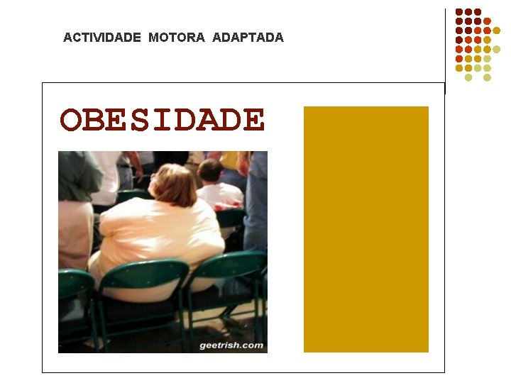 ACTIVIDADE MOTORA ADAPTADA OBESIDADE 