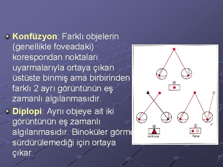 Konfüzyon: Farklı objelerin (genellikle foveadaki) korespondan noktaları uyarmalarıyla ortaya çıkan üstüste binmiş ama birbirinden