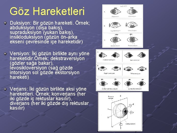 Göz Hareketleri Duksiyon: Bir gözün hareketi. Örnek; abduksiyon (dışa bakış), supraduksiyon (yukarı bakış), insikloduksiyon