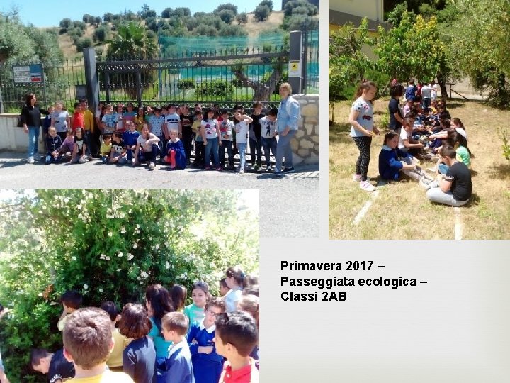 Primavera 2017 – Passeggiata ecologica – Classi 2 AB 